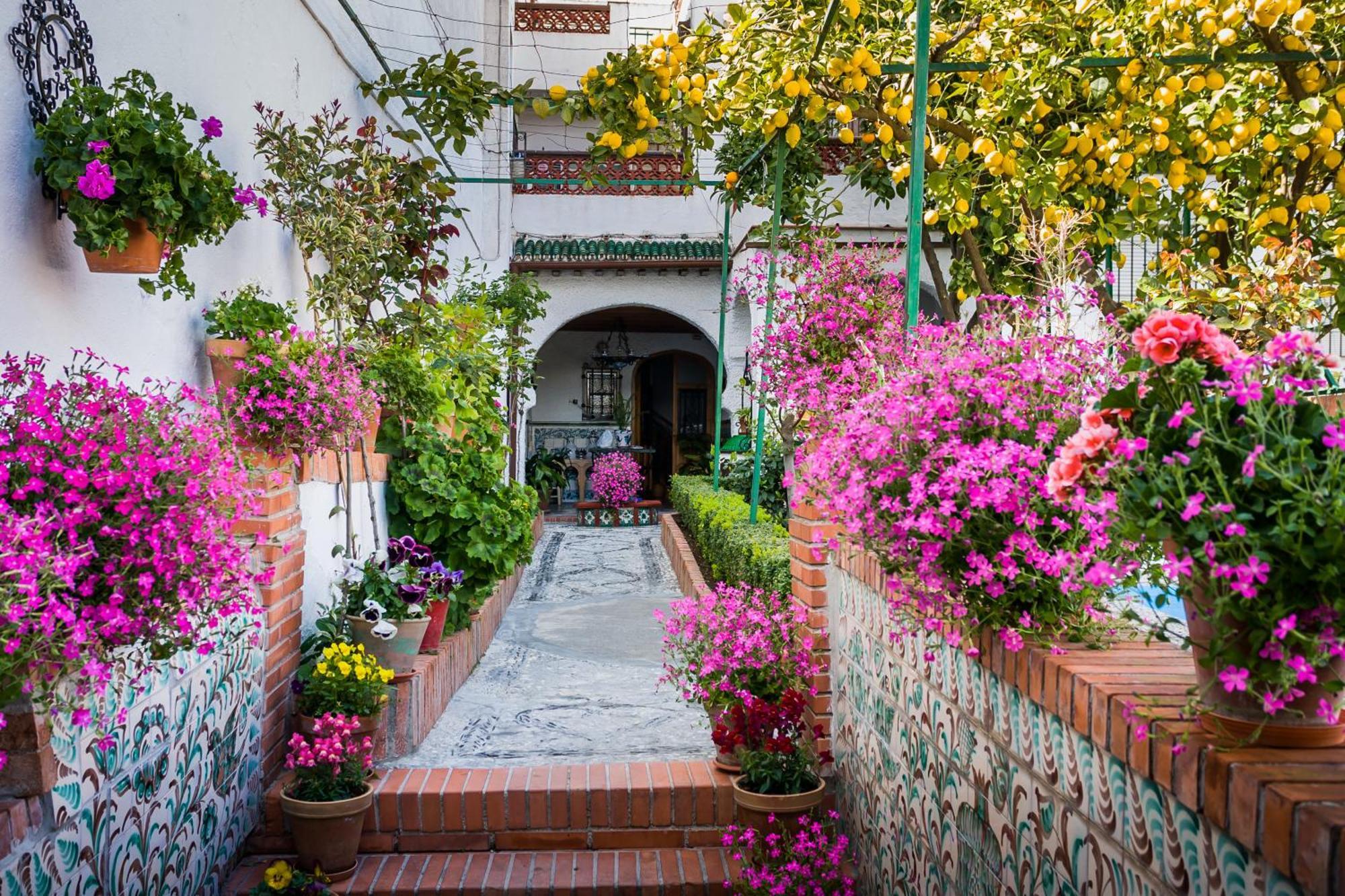 Grazaries -Piso Centrico Granada- Apartamento Exterior foto